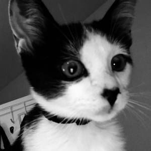 Meet your Posher, Kristina